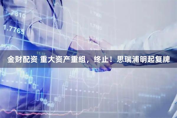 金财配资 重大资产重组，终止！思瑞浦明起复牌