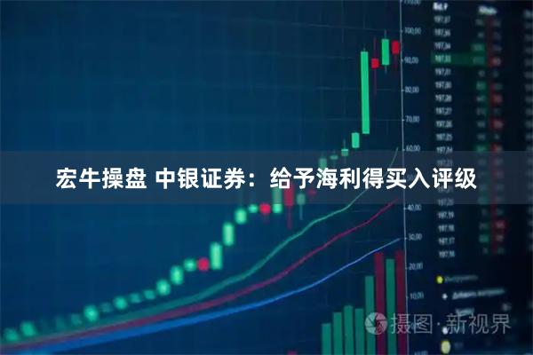 宏牛操盘 中银证券：给予海利得买入评级