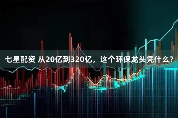 七星配资 从20亿到320亿,这个环保龙头凭什么?