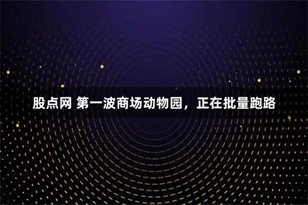 股点网 第一波商场动物园，正在批量跑路